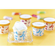 ガレー プレミアムアイスクリーム8個セット GLN-8【直送品】［送料無料］