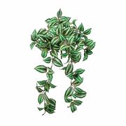 MAGIQ 難燃ゼブリナバイン　1本　FG612510-zzz