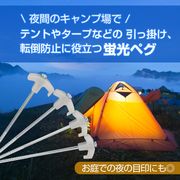 ペグ 4本セット 25cm スチール 蓄光 蛍光 テント タープ ロープ アウトドア 登山 キャンプ 固定 目印