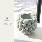 ■コベントガーデン■■2025SS　新作■　【neulo】 フェイジョアーポット