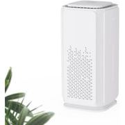 車空気清浄機 小型ミニ 脱臭機 空気浄化除菌 脱臭 マイナスイオン フィルター 静音 花粉症対策 タバコHEPA