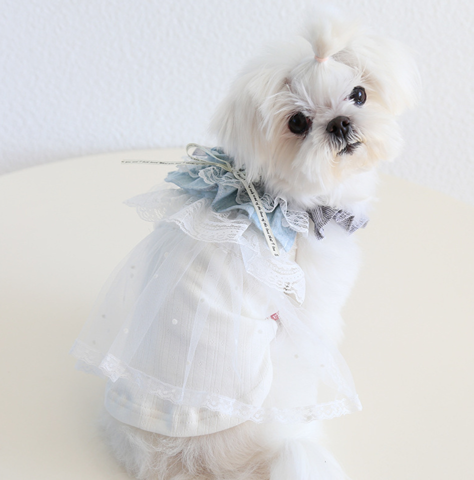 【2025春夏】犬猫の服 ドッグウェア 小型犬服 超可愛い ペット服 犬服 猫服 ペット用品 ネコ雑貨