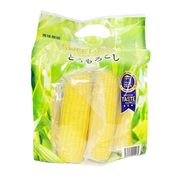 SWEET CORN 美味しさ、あふれる とうもろこし スイートコーン