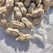 ぬいぐるみ 人形  かぎ針編み ドール ハンドメイド かわいい 野菜 ホームデコレーション 落花生