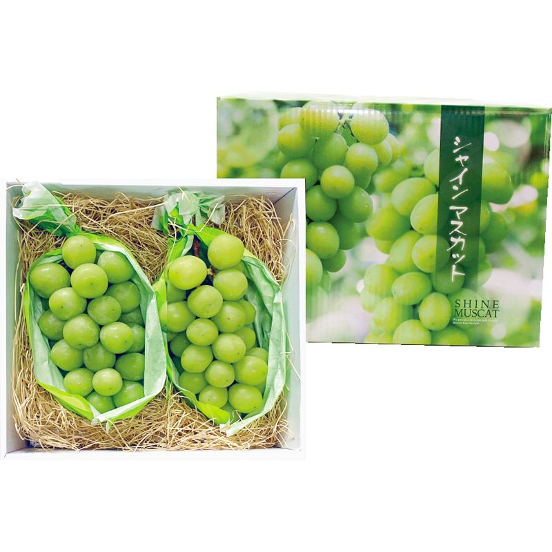 シャインマスカット 大粒2房(1房400g以上)【直送品】 送料無料 シャインマスカット 大粒2房(1房400g以上)【直送品】 送料無料