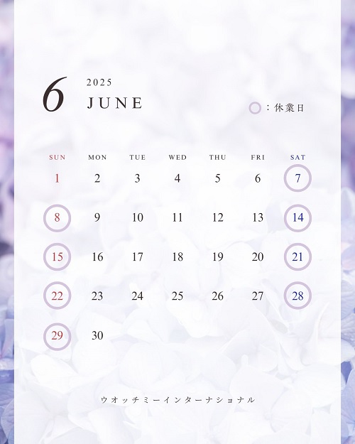 https://img04.netsea.jp/ex13/20250606/2/19058522_8.jpg