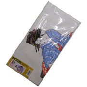 [浮世絵]ふしぎマジックプリントタオル【昼下がり音とり】