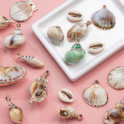 アクリルチャーム 貝殻 シェル 巻貝 ホタテ 帆立 海 ocean shell マリン 夏 summer アクセサリーパーツ