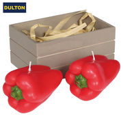 【パディマ限定　特別SALE】■DULTON■■X'mas■　Candle set of 2　D　Red pepper