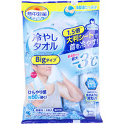 [廃盤]熱中対策 冷やしタオル Bigタイプ 室内用 無香料 4本入