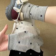 2025★ソックス★大人靴下★ 4色