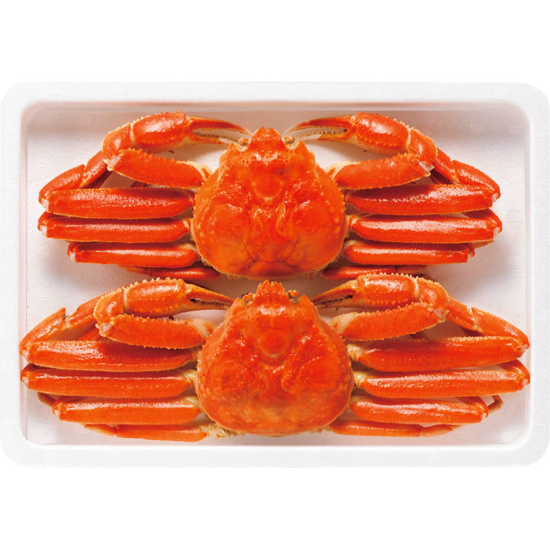 ボイルずわいがに姿 400g×2尾 ZHB452N【直送品】送料無料