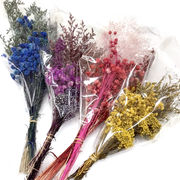 【114. ドライフラワー  ミックスブーケ】かすみ草 束 1本  カスミソウ  小さめ 花材 ハンドメイド