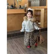 2025秋冬新作DC　子供服 　キッズ　秋冬コーデ　裏起毛　パーカー　ヒョウ柄　パンツ　タグ7～17