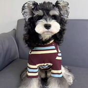 小型犬・猫用 秋冬ストライプ半袖Tシャツ 可愛いデザインのペットウェア　直送