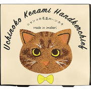 Ｕｃｈｉｎｏｋｏ　ｍａｔｅ　毛並みハンカチ茶トラ