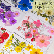 ドライフラワー ネイルパーツ レジン ミックス 押し花 はな 天然素材 サシェ デコ材料 推し活 手芸 手作り