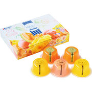 （季節限定 2月～9月）北辰フーズ 夕張メロンゼリー＆フルーツゼリーコレクション YF-5