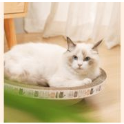 猫 ボウル型猫爪とぎ 爪研ぎ  爪研ぎポール 爪を研ぐ 猫用品 インテリア 運動不足解消 ストレス解消