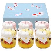 京都 養老軒 ゆらり金魚の涼風ゼリー YJ-YR【直送品】［送料無料］（※お届けは6月12日～）