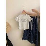 2026年キッズ服　韓国風 　Tシャツ　ロンくパンツ　わけて売れ　110－170CM