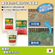 ●無農薬　除草材　「草枯れちゃん」　各種