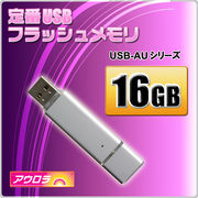 データの受け渡しや持ち運びに便利!大容量!USB 2.0/1.1対応!大容量USBフラッシュメモリー16GB