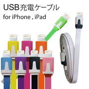 充電ケーブル for iPhone5 iPad 100cm  Lightning対応 USBケーブル / 充電 / iPhone5 / USB
