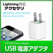 iPhone iPod toch用 5W USB電源アダプタ 充電器  USB / AC プラグ
