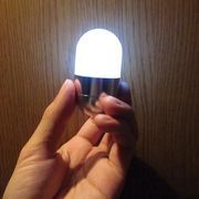 【訳アリ特価！】カプセルデザインのフラッシュライト！”TUMBLER LED flashlight Capsule（カプセル）”