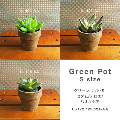 お部屋をグッと華やかに枯れない植物で作る手軽な癒し空間【グリーンポット・S-セダム/アロエ/ハオルシア】