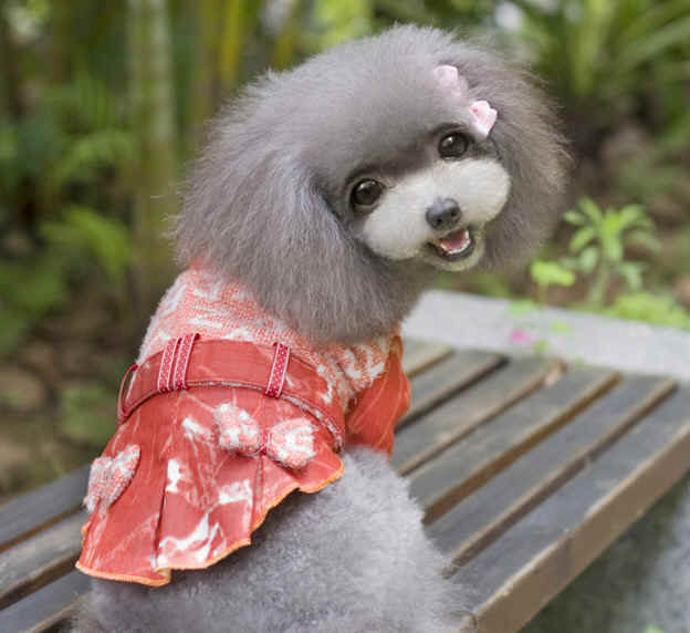 超可愛い犬服　ドッグウェア　犬　ペット　ペット服　　ペット用品(XS-XL）
