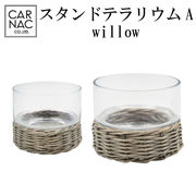 ■カルナック■　スタンドテラリウムA　willow