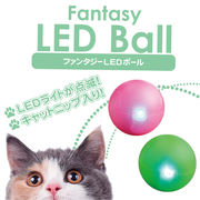 ＦＷ　ファンタジー　ＬＥＤボール　猫 TOY ネコ おもちゃ  ボール  光る　玩具