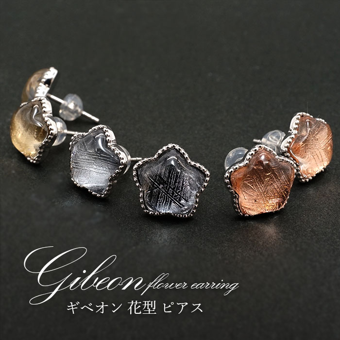 【一点物】 ギベオン gibeon シルバー ピアス 《花型》 約1.2mm SV925 シルバー 天然石