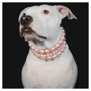 ペットジュエリーファッション多層ピンクパール犬用首輪かわいいペットネックレス