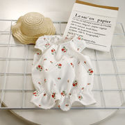 ペット服春夏新猫服猫服日本・韓国テディ方式服子犬犬服