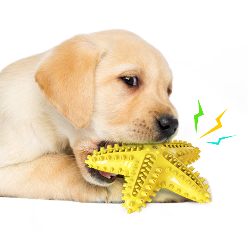 歯が生える犬のおもちゃアマゾンヒトデ声ペットペット用品犬の歯ブラシ、発声する