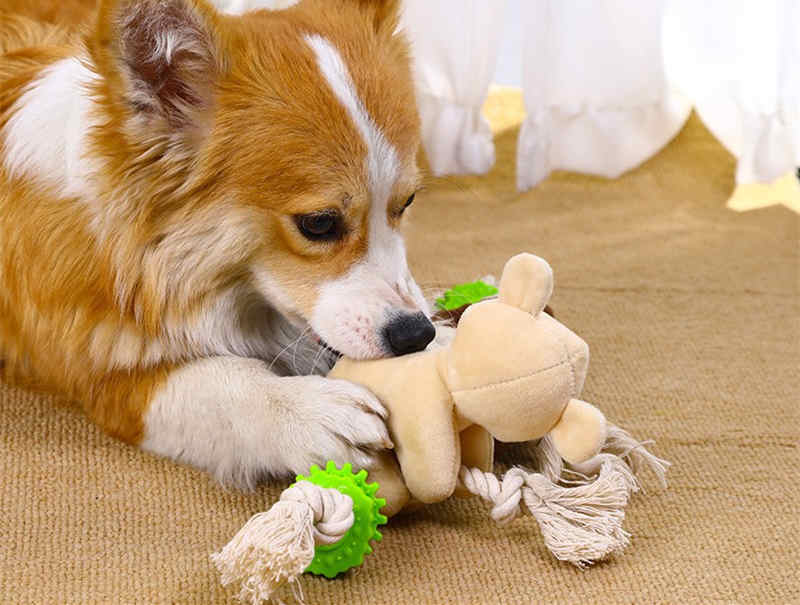 犬のおもちゃ★♪新作★遊び★可愛いペット★玩具★猫犬兼用おもちゃ★歯ぎしり★ペット用品