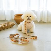 韓国の犬のペットのかわいい鎖、犬の散歩用のひも、犬の首輪、ペット用品