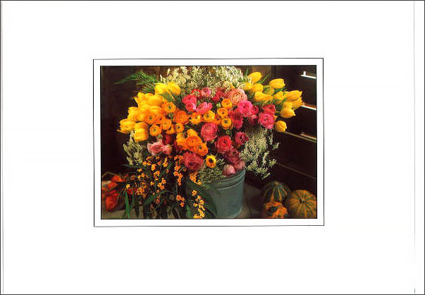 グリーティングカード 多目的 B&Bフラワーシリーズ「春のアレンジ」花柄