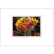 グリーティングカード 多目的 B&Bフラワーシリーズ「春のアレンジ」花柄