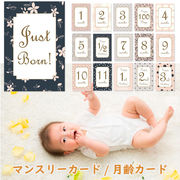 インスタ用ベビーマンスリーカード「PINK PATTERNS」月齢カード 赤ちゃん 誕生日出産祝い
