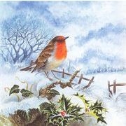 グリーティングカード クリスマス「コマドリとヒイラギ」メッセージカード 小鳥