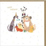 グリーティングカード 誕生日/バースデー「お祝いする犬」イヌ