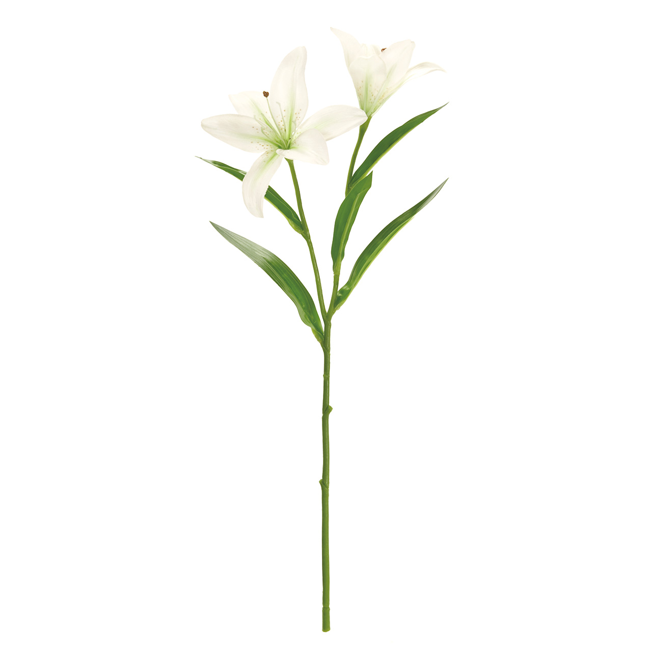 MAGIQ　ステラリリー　ホワイトグリーン　アーティフィシャルフラワー　造花