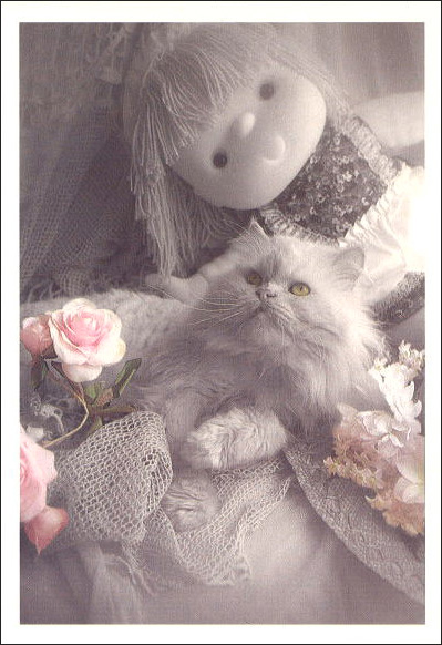 ポストカード カラー写真 「猫とバラの花と人形」 郵便はがき メッセージカード