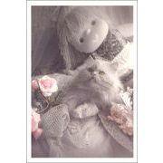 ポストカード カラー写真 「猫とバラの花と人形」 郵便はがき メッセージカード