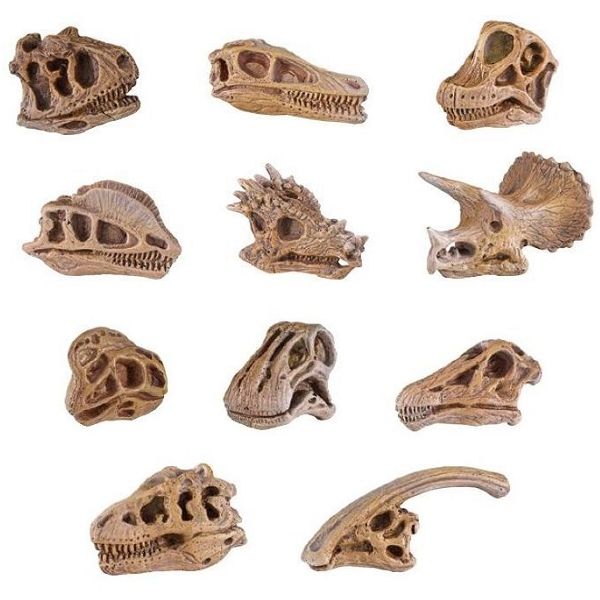 Toobs（チューブ）Miniature Collectibles” safari（サファリ）”恐竜スカル チューブ