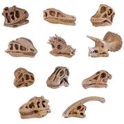 Toobs（チューブ）Miniature Collectibles” safari（サファリ）”恐竜スカル チューブ